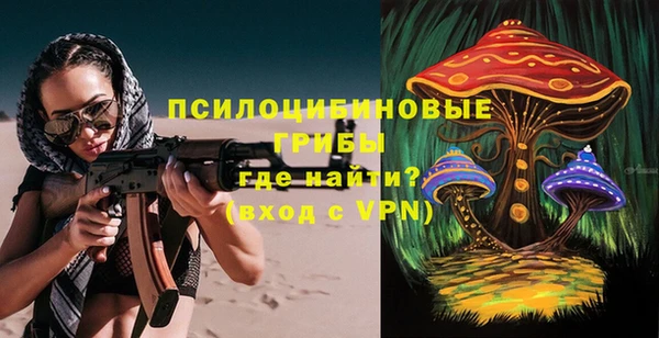 сатива Ладушкин