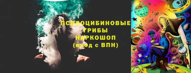 Псилоцибиновые грибы Magic Shrooms  Ельня 